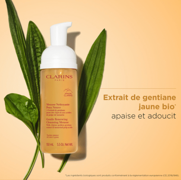 MOUSSE NETTOYANTE 150 ml